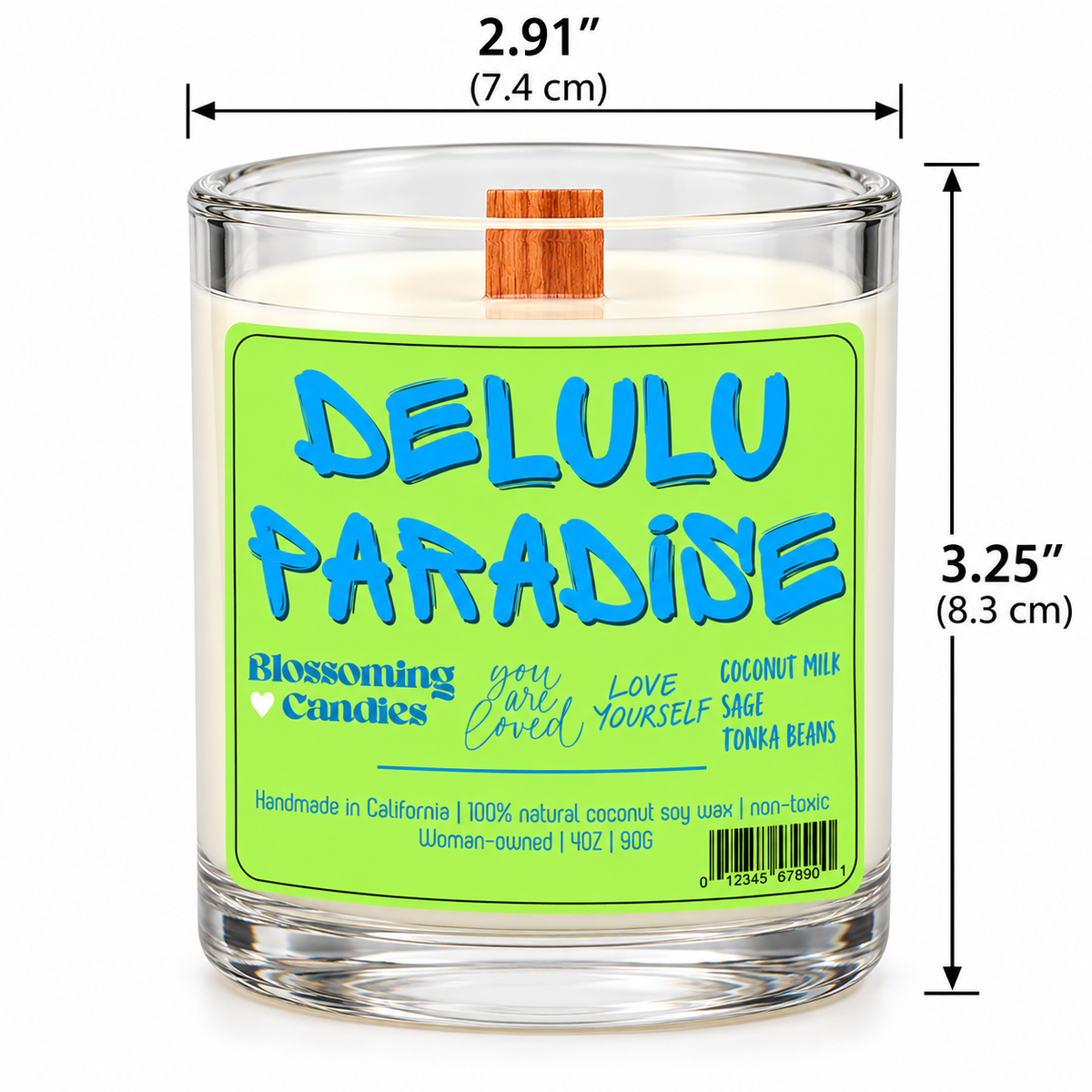 DELULU PARADISE 4OZ CANDLE