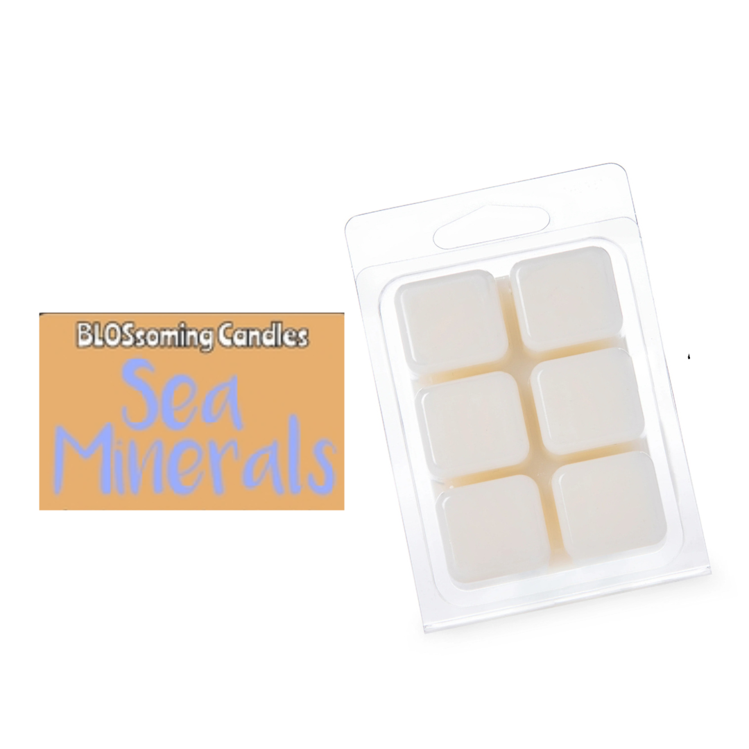 SEA MINERAL WAX MELTS