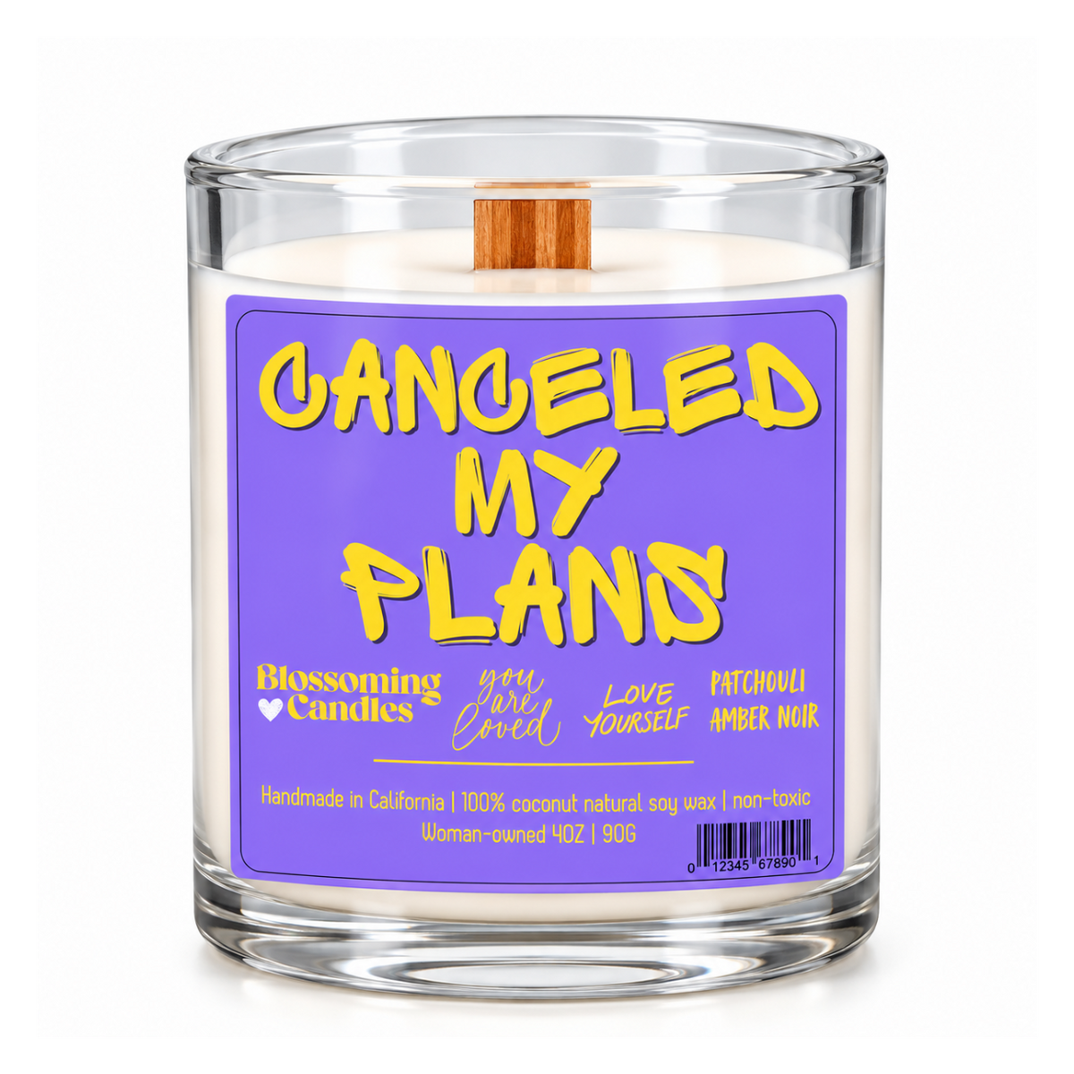 CANCELED MY PLANS 4OZ CANDLE