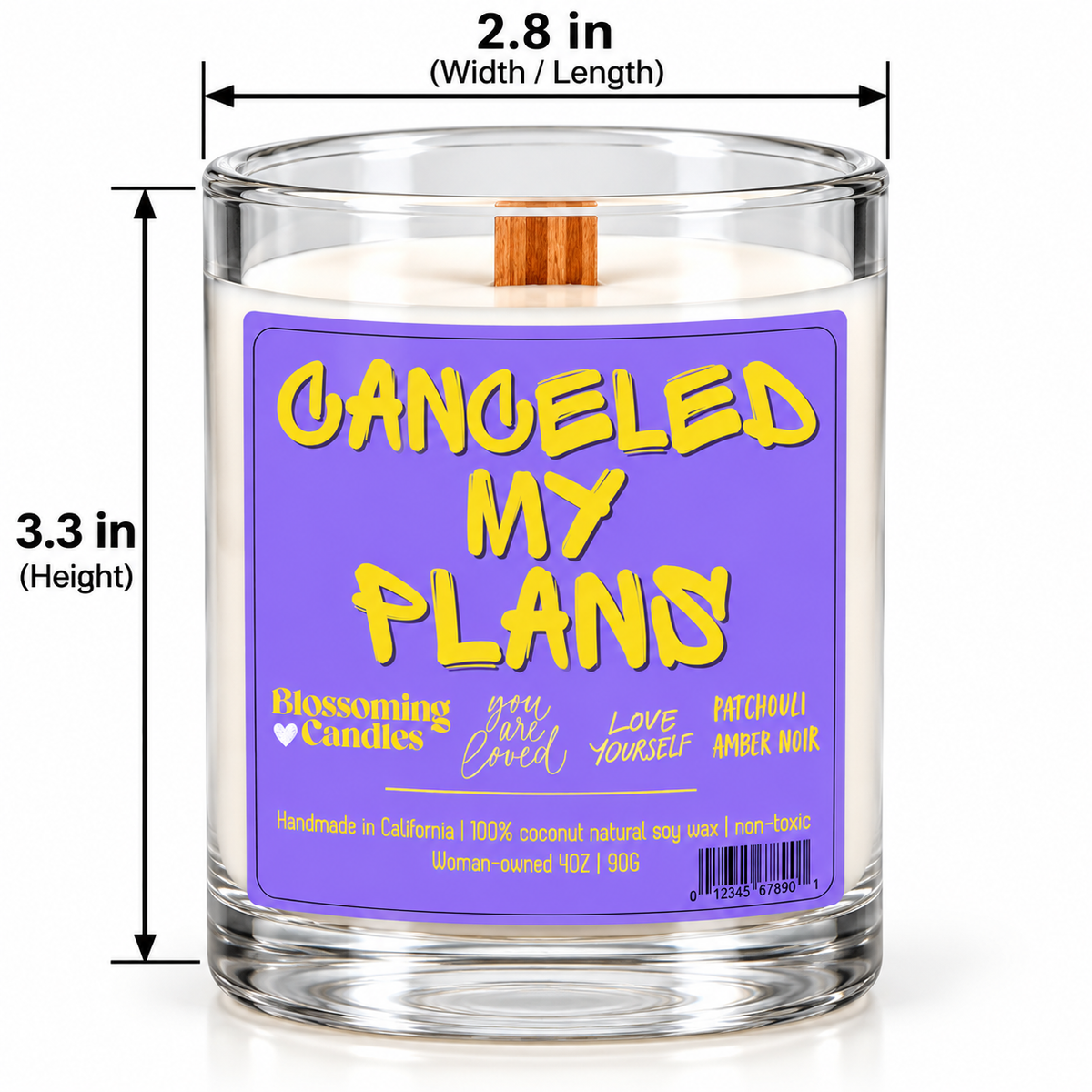 CANCELED MY PLANS 4OZ CANDLE