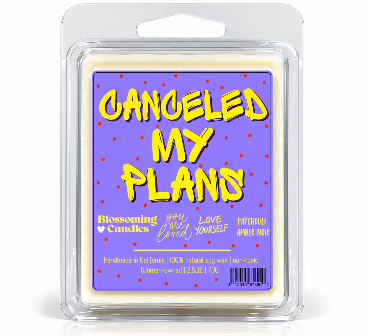 CANCELED MY PLANS WAX MELTS