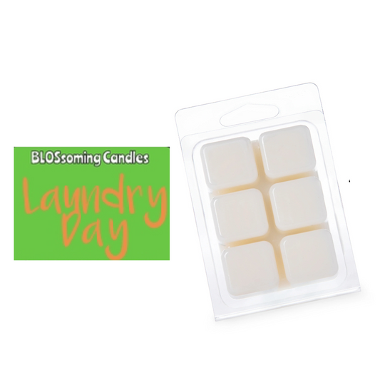 LAUNDRY DAY WAX MELTS